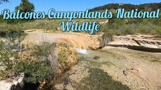 Balcones Canyonlands texas stateparks [upl. by Harmonia]