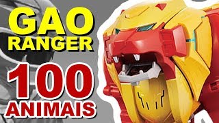 Quais são os 100 animais de GAORANGER  TokuDoc [upl. by Junia378]