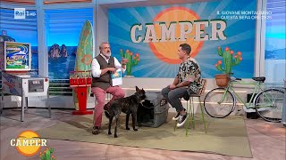 Come comportarsi con il cane in vacanza  Camper 17072023 [upl. by Ritter]