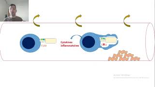 5Lipopolysaccharide LPS [upl. by Adnim749]