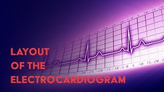 Layout of the Electrocardiogram  How to Read an Electrocardiogram EKG  MEDZCOOL [upl. by Eifos]