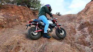 Honda Monkey EXTREME Off Road Test [upl. by Kirit]