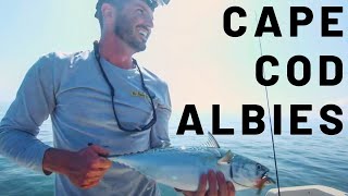 False Albacore Fishing on Cape Cod Full Episode [upl. by Mireille83]