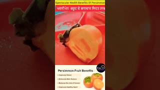 What is persimmon fruit good forPersimmons are a good source of vitamins A and C 😱 [upl. by Ama]