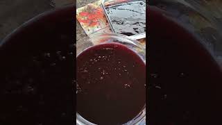 SAGU DE VINHO TINTO SUAVE E SUCO DE UVA INTEGRAL 🍇UMA DELÍCIA RECEITA AQUI NO CANAL receitas💜 [upl. by Aknaib452]