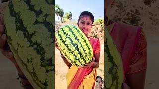 Watermelon juiceWatermelon Juice Fruit Juice Making shorts [upl. by Cawley]