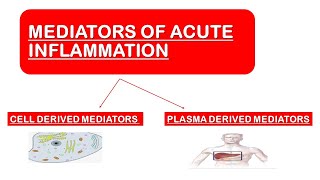 Mediators of Acute Inflammation [upl. by Vasos]