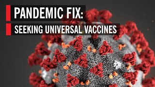 Pandemic Fix Seeking Universal Vaccines [upl. by Sager]