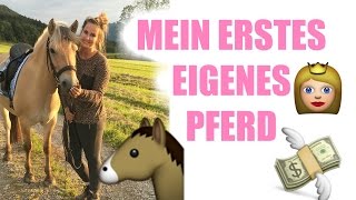 Mein erstes eigenes Pferd I EHORSES PROBEREITEN TRANSPORT KOLIK [upl. by Pryce680]