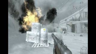 COD black ops on nvidia geforce 7300SE7200GS 256mb [upl. by Sunev]