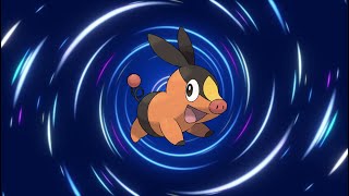 Tepig Evolution Line [upl. by Urbanna]