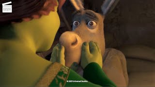 Shreks Best Scenes [upl. by Frannie]