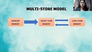 MULTISTORE MODEL OF MEMORY MSM [upl. by Lipcombe]