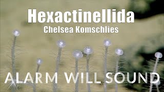 quotHexactinellidaquot by Chelsea Komschlies performed by Alarm Will Sound [upl. by Venola502]