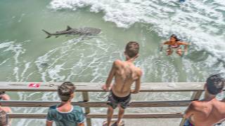 Boy Pushes Mother Into Shark Infested Waters Then This Happens [upl. by Salvay]