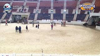 2024 AADS Day 2 New Holland Arena Part 2 [upl. by Rosco]