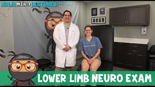 Lower Limb Neuro Exam [upl. by Ameyn929]