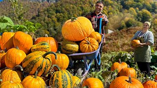 Oriental Dishes from the Autumn Harvest 40 Minutes of Privacy with Nature [upl. by Ahsiruam300]