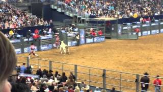 Houston Rodeo 2014 [upl. by Delila]