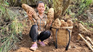 FULL VIDEO 55 Days Harvest Grated tubers Bamboo shoots Vegetables Ginger  market to sell [upl. by Debbra]