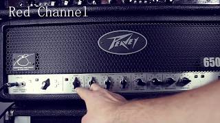 Peavey 6505  5150 and Two Notes Torpedo Captor Demo [upl. by Cailly]