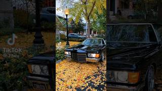 1973 Buick Riviera 🤩 🍂 fall fallcolors lowrider classiccar [upl. by Arretal383]