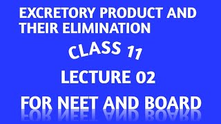 EXCRETORY PRODUCT AND THEIR ELIMINATION CLASS 11 TYPES OF NITROGENOUS WASTE  FOR NEET 🩺🏥newvideo [upl. by Ylam]