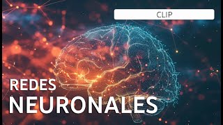 REDES NEURONALES [upl. by Annawal]