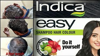 How to Apply Indica Easy Hair Colour Shampoo in 10mins Black Hair Colour [upl. by Jung823]