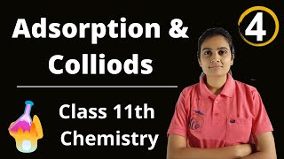 Adsorption and Colloids Class 11th Chemistry Part 4 [upl. by Nairdad]