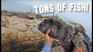 The best way to EASILY CATCH FISH on the Jetties  Port Aransas Jetty Fishing [upl. by Ennagroeg]