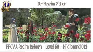 FFXIV Der Hase im Pfeffer  Hildibrand Quests 011  A Realm Reborn [upl. by Strepphon675]