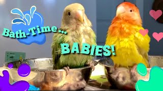 FLASHBACK Video BabyBATH [upl. by Nnael654]