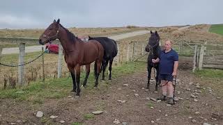 Majestic Man with Monty Python amp Tussock white star at his retirement home in Oamaru 200424 [upl. by Mayap]