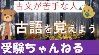 【国語＿古文】今とは意味が違う古語 [upl. by Oicnedurp]