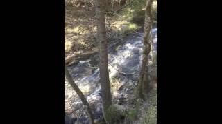 Mittenwald Germany  mountain stream [upl. by Rehpotsyrhc]