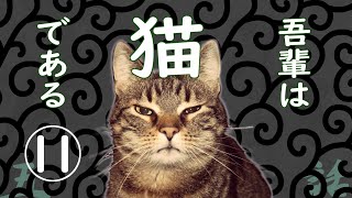 【朗読】吾輩は猫である11／夏目漱石 [upl. by Enidaj]