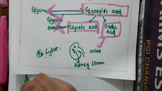 hyperoxaluria  Biochemistry [upl. by Aninnaig]