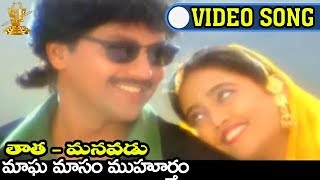 Magha Masam Muhurtham Video Song Tata Manavadu Movie  Krishnam Raju  Sharada  Vinod Kumar [upl. by Akit]