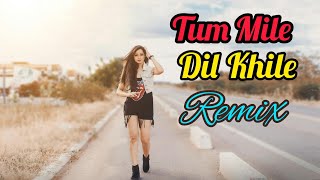 Tum Mile Dil Khile Remix [upl. by Dott]