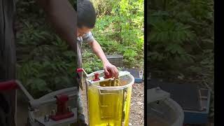 process of extracting honey from honeycombs using a centrifuge [upl. by Greenlee568]