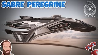 Star Citizen  Visite et Pilotage du Sabre Peregrine [upl. by Lowrance281]