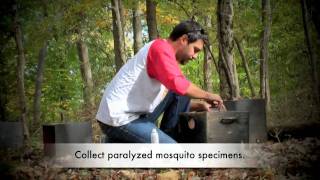 Collecting Anopheles Mosquitoes Using Resting Boxes [upl. by Rolfston]