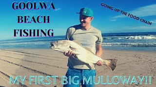 Goolwa Beach Fishing  South Australia My First Big Mulloway [upl. by Earesed]