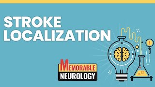 Stroke Localization Made Easy with Mnemonics Memorable Neurology Lecture 14 [upl. by Artek348]