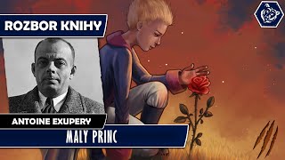 ❖ MALÝ PRINC  Antoine de Saint Exupery  Rozbor knihy  LUKAS IV HOUSE [upl. by Vachill648]