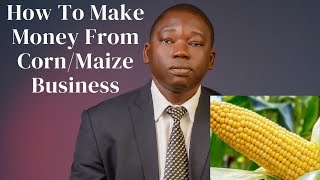 How To Make Money From CornMaize Business  a step by step maize business masterclass [upl. by Ailee]