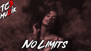 FREE Best RnB Melodic Type Beats 2024  quotNo Limitsquot [upl. by Ahsieyn596]