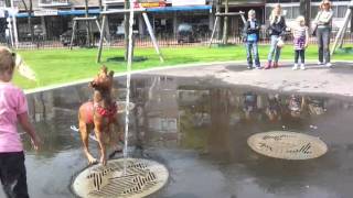 Stads park denhelder spelen in de fontein [upl. by Eniortna]