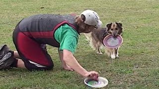 Disc Dog  how to start the training [upl. by Annabal]